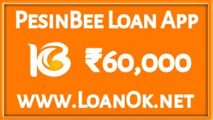 PesinBee Loan App Loan Amount